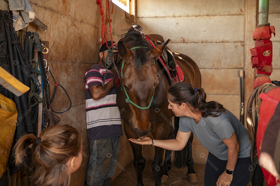 Amazona e vaqueiro juntos cuidando de um cavalo