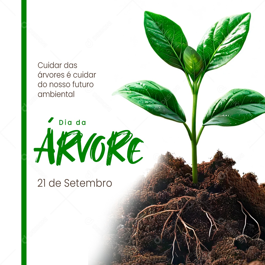 Story Dia da Árvore 21 de Setembro Social Media PSD Editável