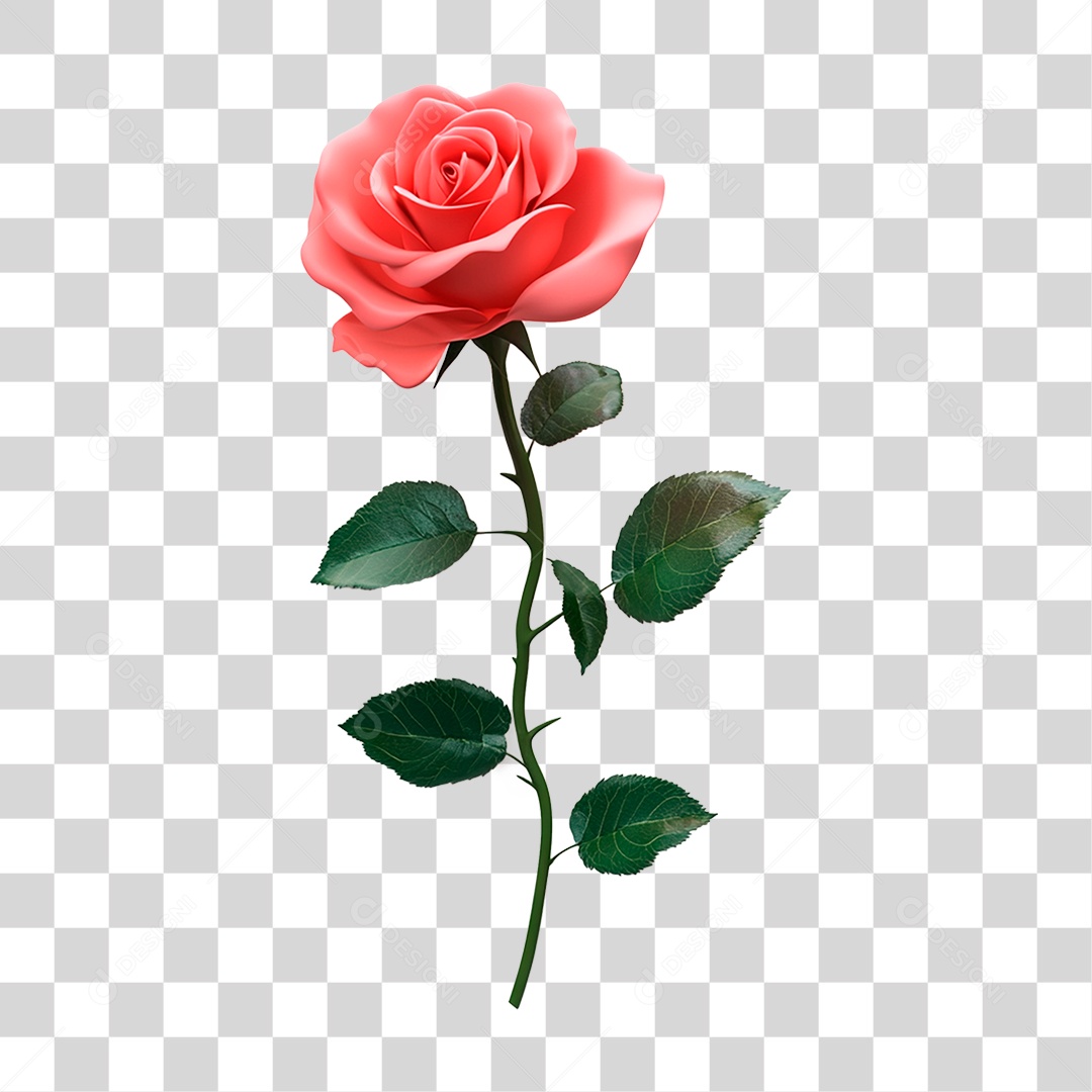 Flor Na Cor Rosa Renderização 3D Em Alta Resolução