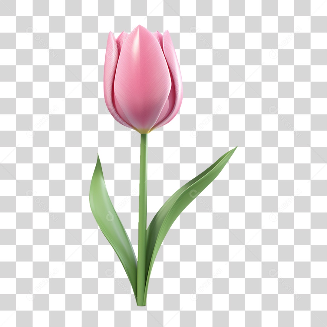 Rosas Flores PNG Transparente