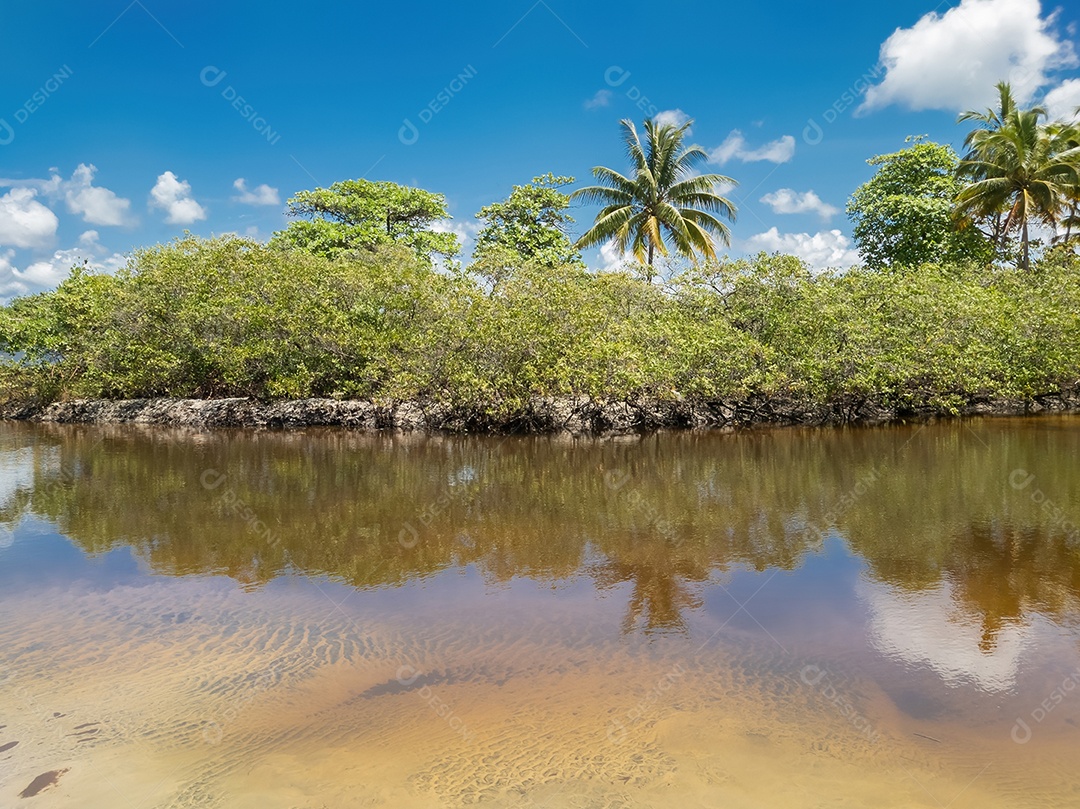 Belo retrato lagoa com linda vegetação de coqueiro IA generativa