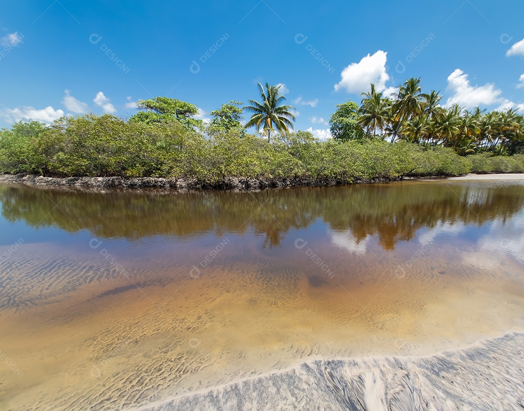 Belo retrato lagoa com linda vegetação de coqueiro IA generativa