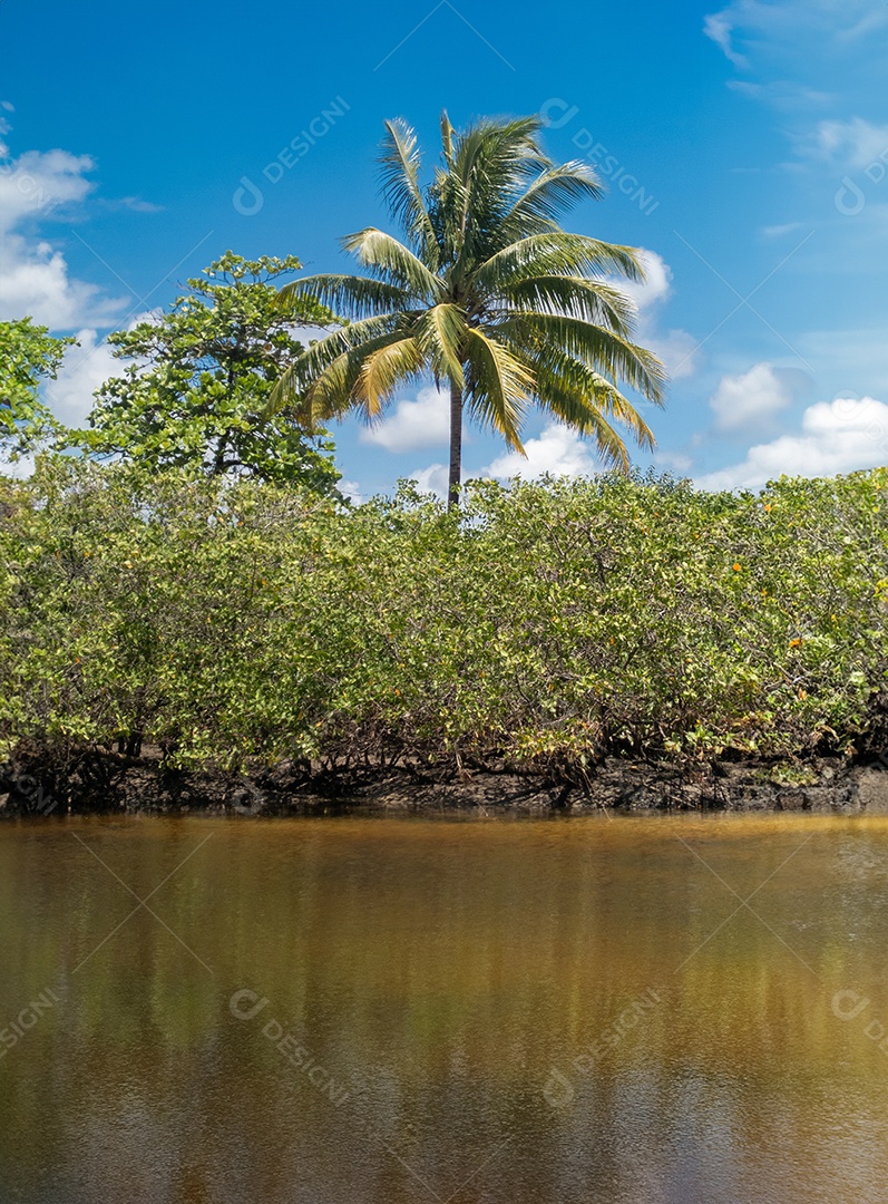 Belo retrato lagoa com linda vegetação de coqueiro IA generativa
