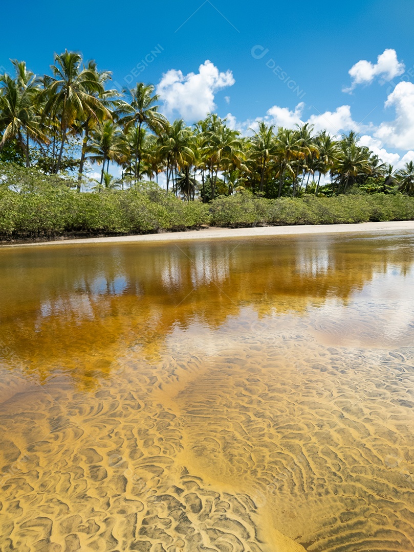 Belo retrato lagoa com linda vegetação de coqueiro IA generativa