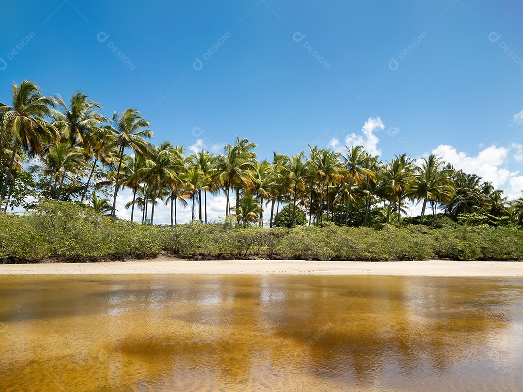 Belo retrato lagoa com linda vegetação de coqueiro IA generativa