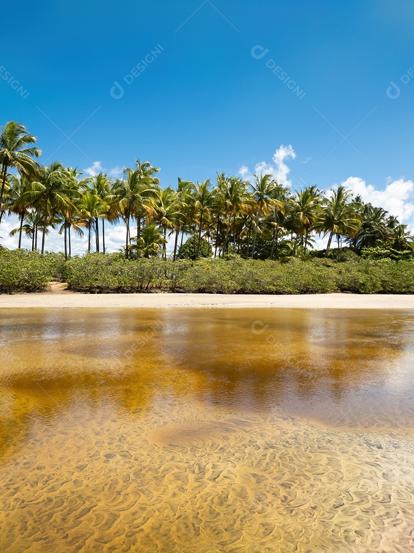 Belo retrato lagoa com linda vegetação de coqueiro IA generativa