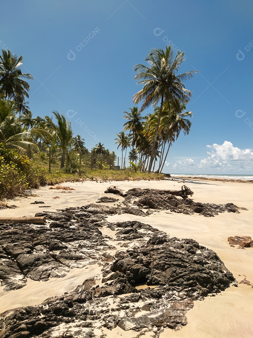 Belo retrato lagoa com linda vegetação de coqueiro IA generativa