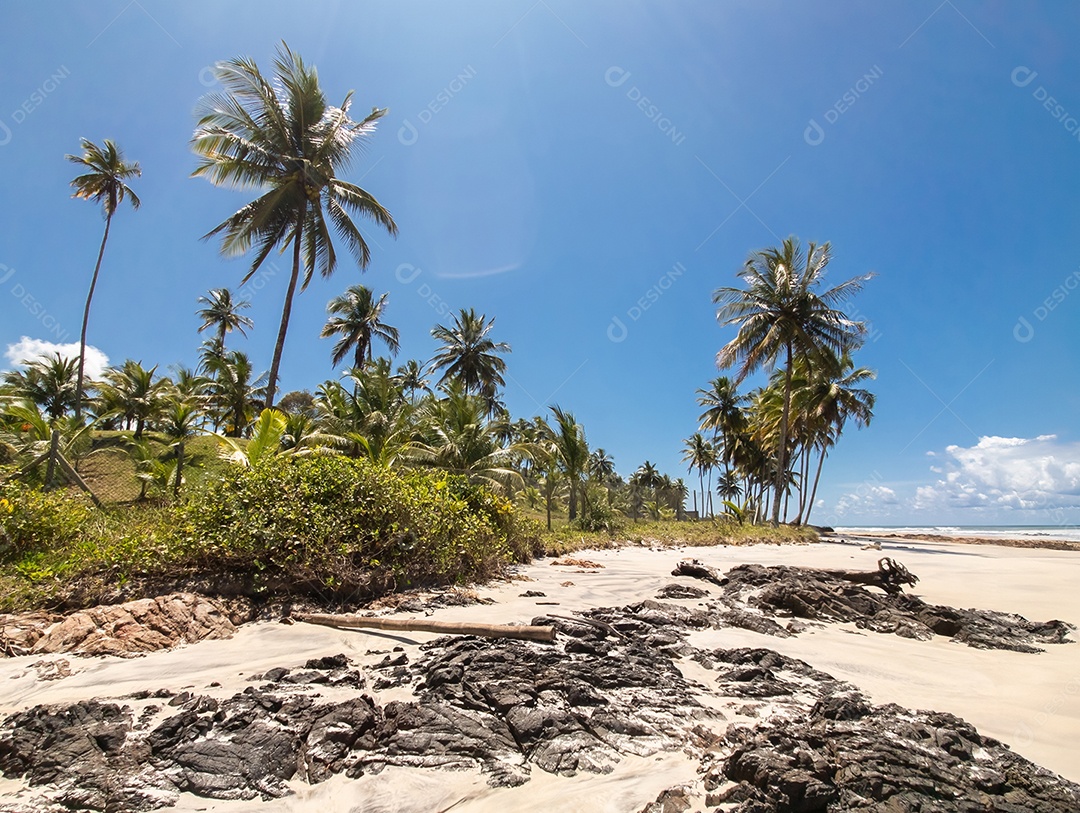 Belo retrato lagoa com linda vegetação de coqueiro IA generativa