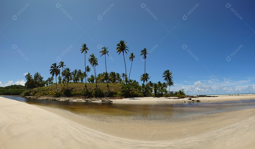 Belo retrato lagoa com linda vegetação de coqueiro IA generativa