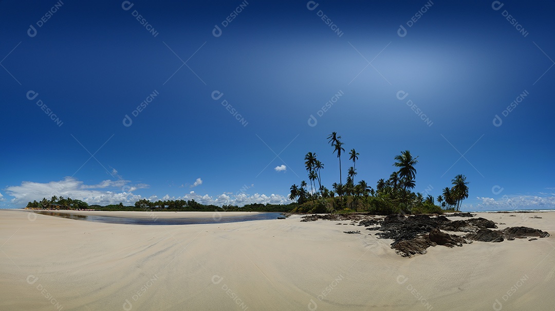Praia trópical com vasta vegetação de coqueiro