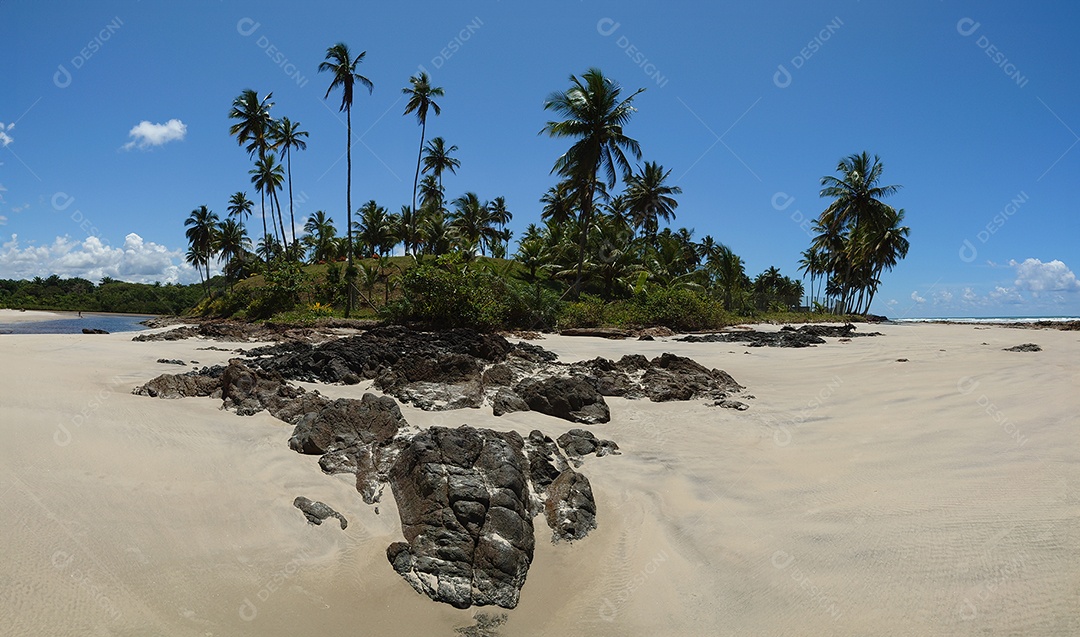 Belo retrato lagoa com linda vegetação de coqueiro IA generativa