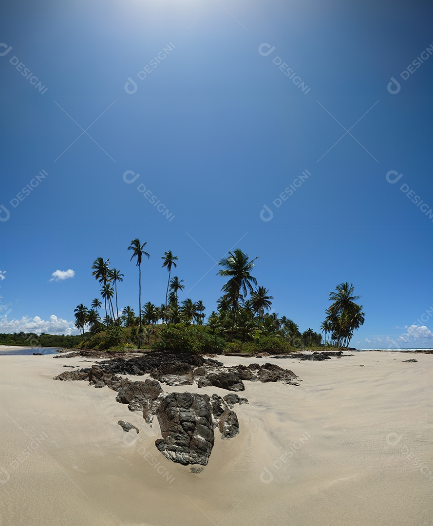 Belo retrato lagoa com linda vegetação de coqueiro IA generativa