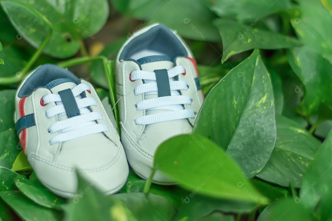 Sapatos de bebê tradicional sobre folhas verdes