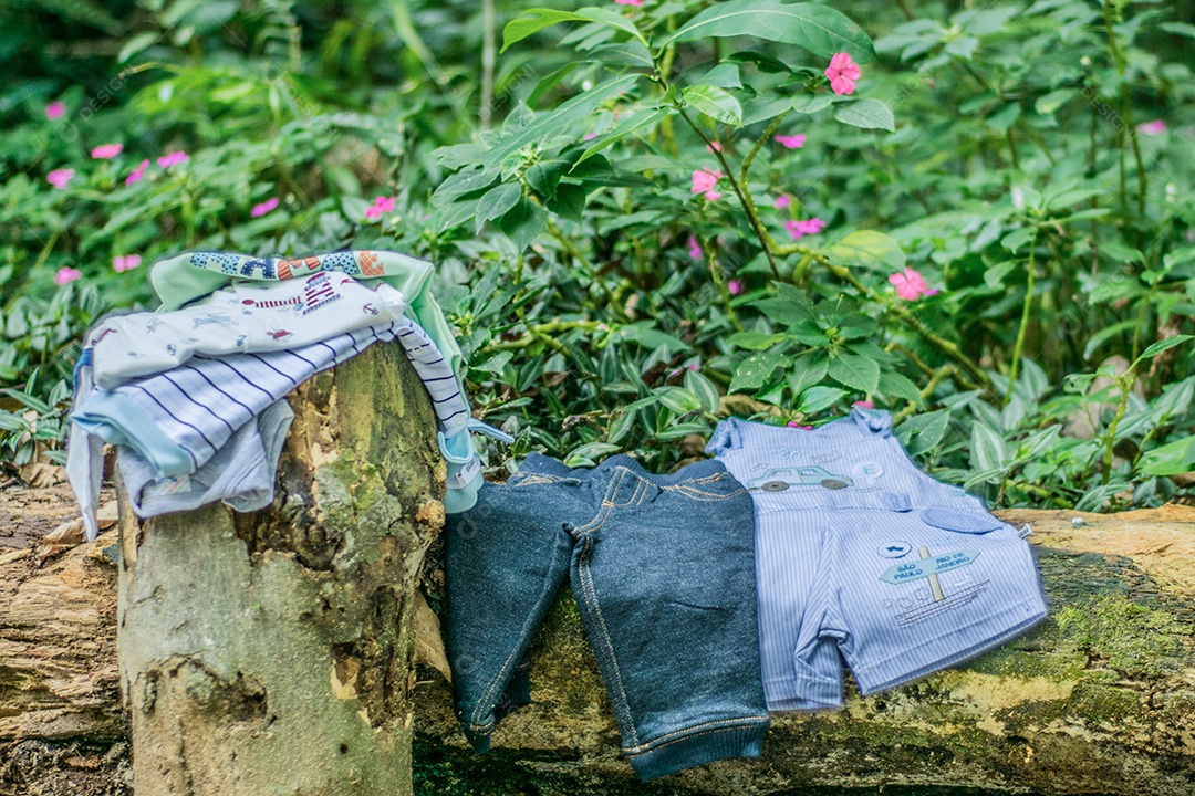 Roupas de bebê em um tronco de árvore