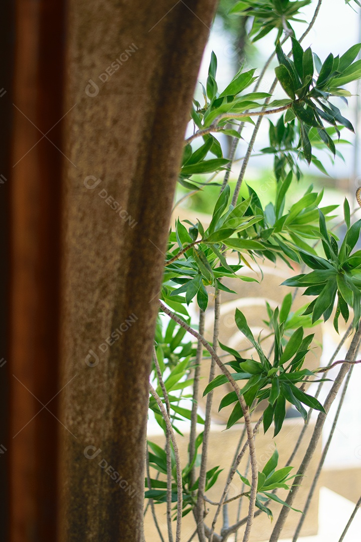 Portal de madeira e plantas