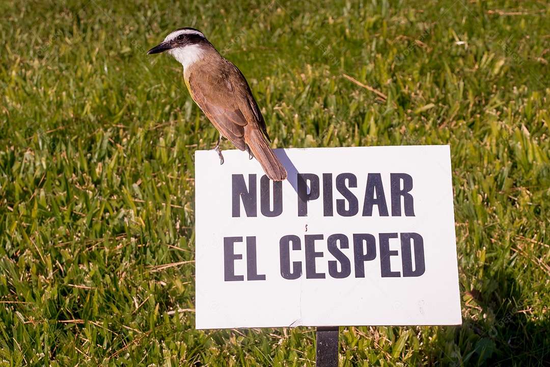 Placa não pise na grama