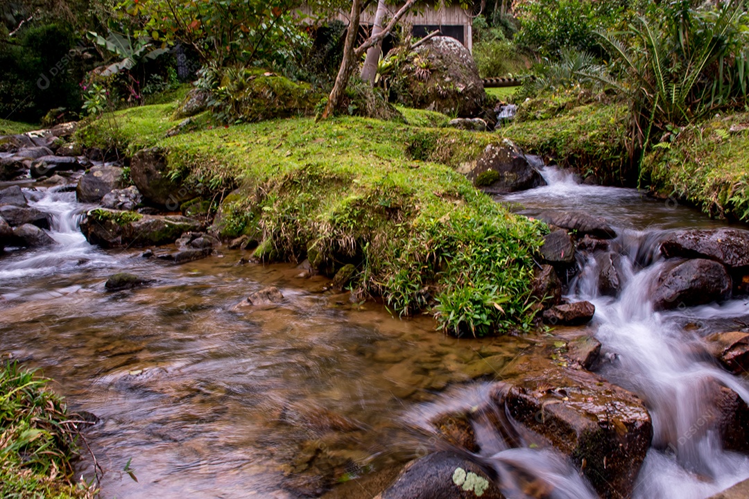 Pequeno riacho passando pela natureza