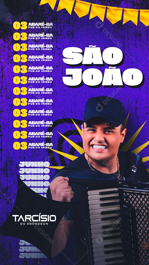 Story Flyer Agenda De São João Social Media PSD Editável