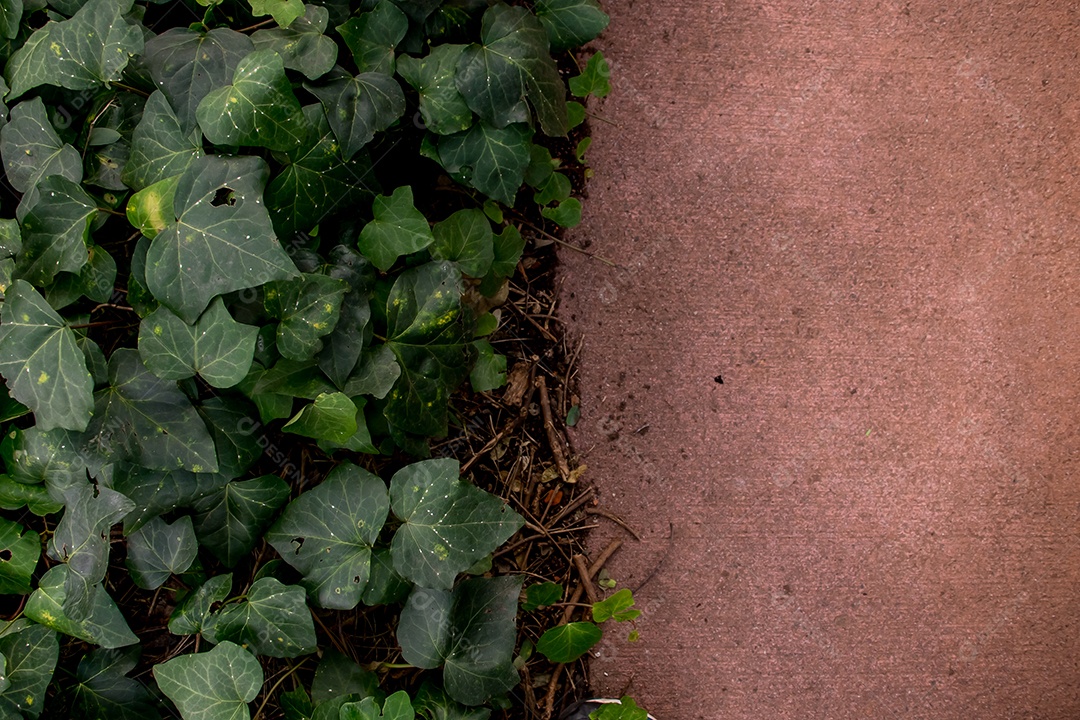 Fundo de textura de calçada e natureza