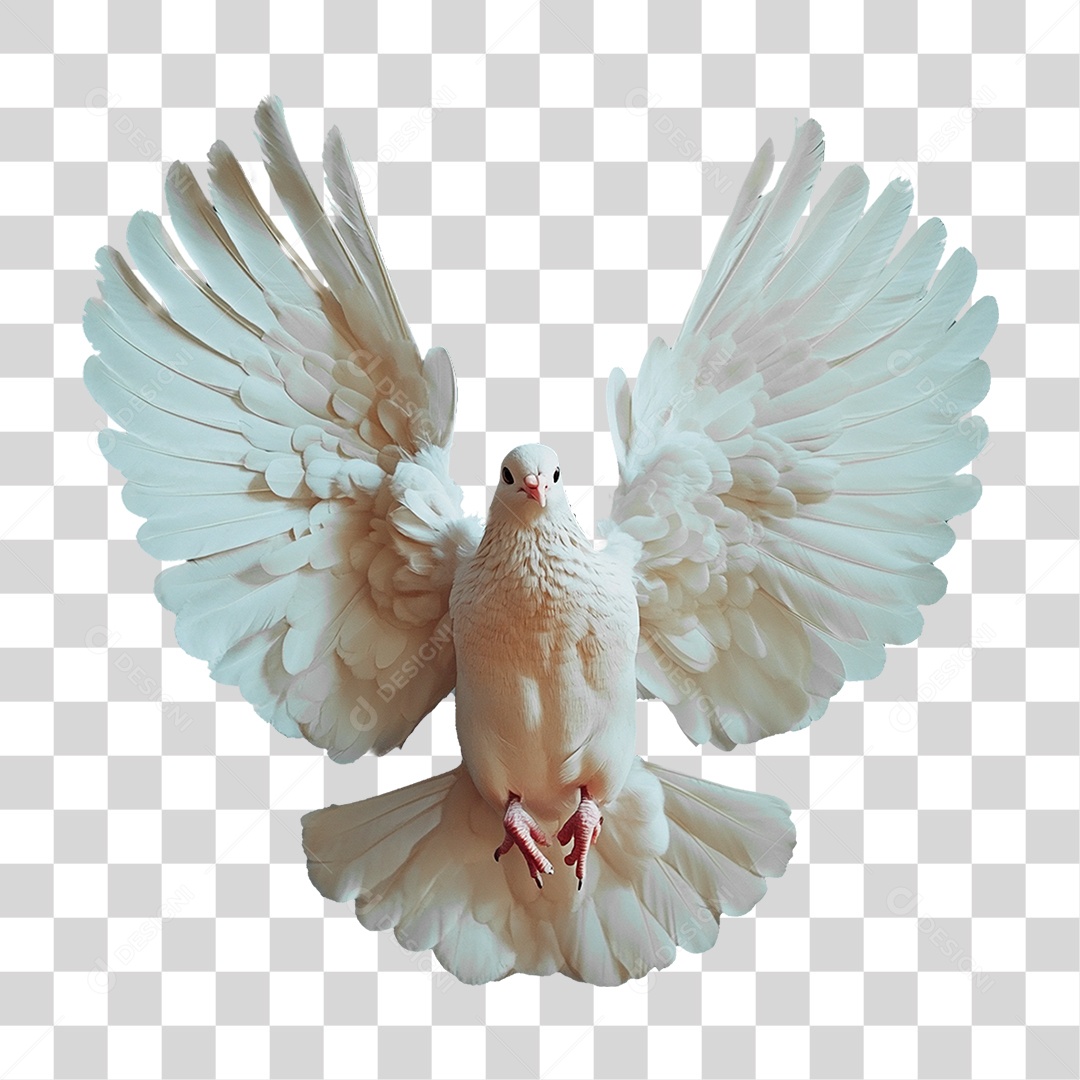 Pomba Branca Símbolo da Paz Igreja PNG Transparente