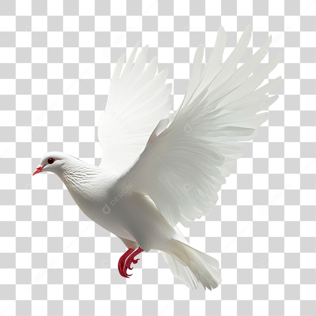 Pomba Branca Símbolo da Paz Igreja PNG Transparente