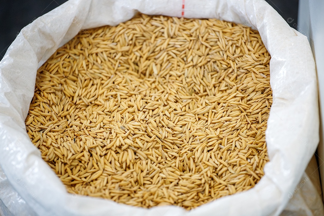 Saco cheio de alpiste em uma cooperativa de produção