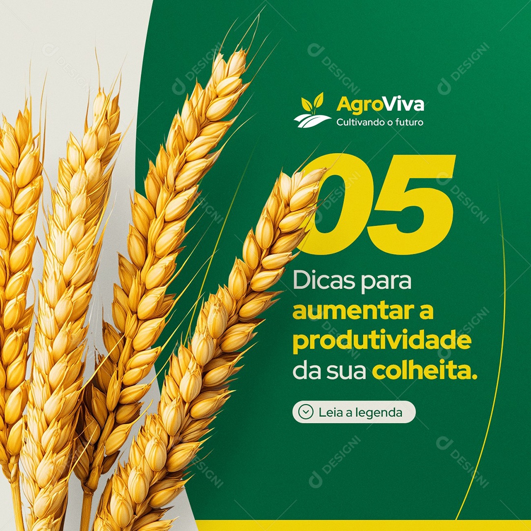Agronegócio Cinco Dicas para Aumentar a Produtividade Social Media PSD Editável