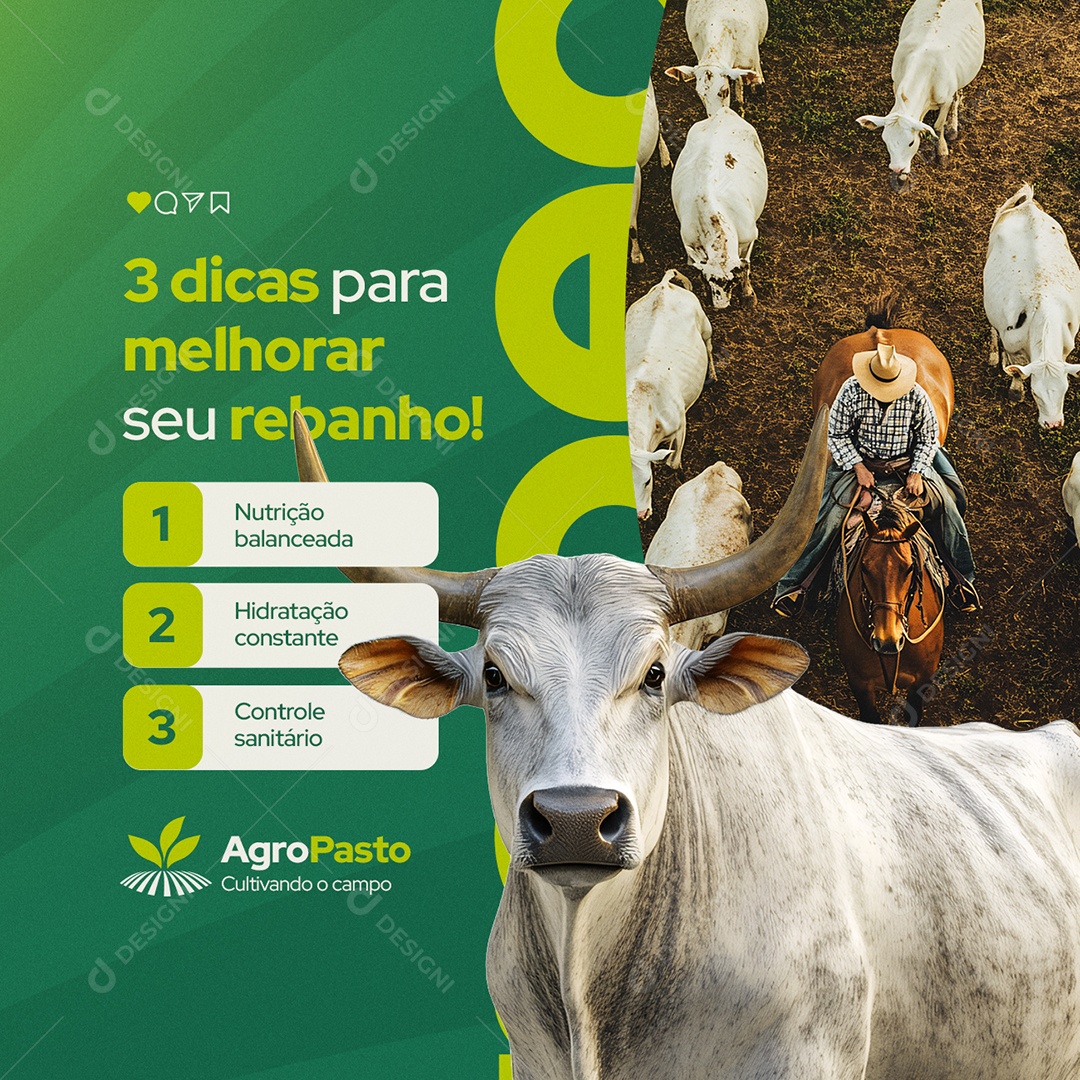 Agropecuária Três Dicas para Melhorar seu Rebanho Social Media PSD Editável