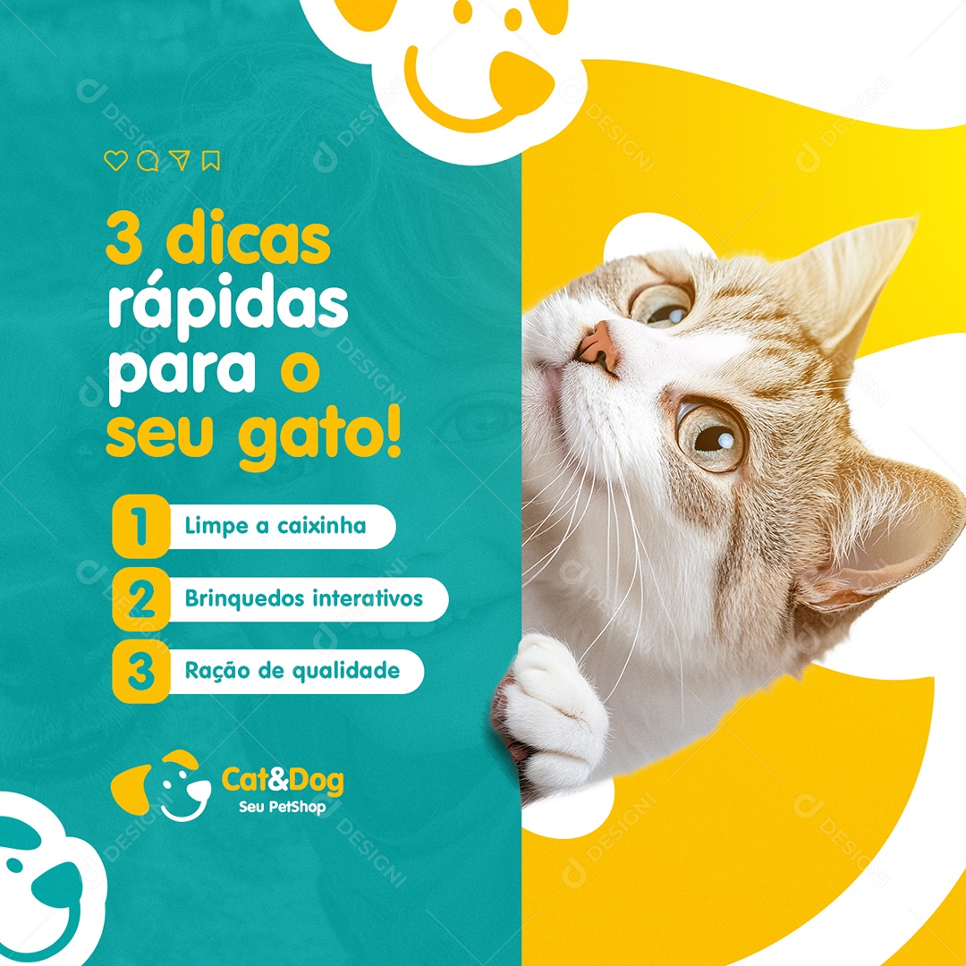Petshop Três Dicas Rápidas para o Seu Gato Social Media PSD Editável