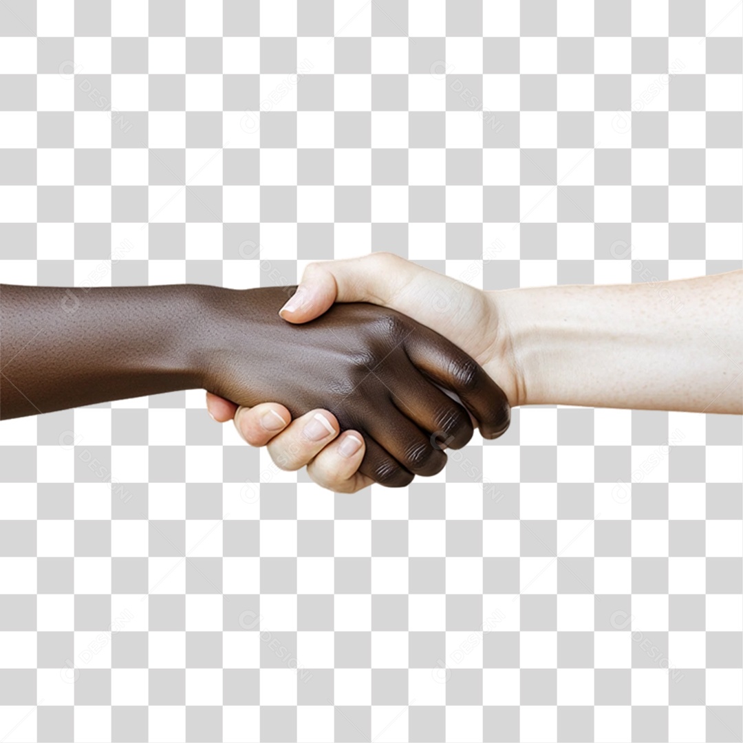 Mãos Dadas Dia da Consciência Negra PNG Transparente