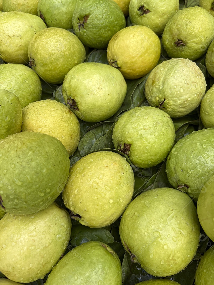Goiabas frescas à venda em um mercado de rua