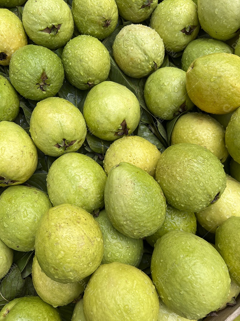 Goiabas frescas à venda em um mercado de rua