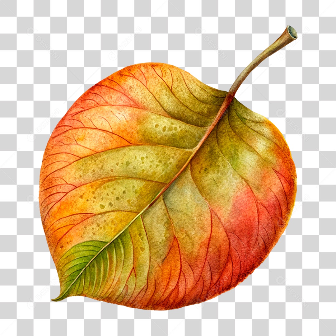 Folha PNG transparente