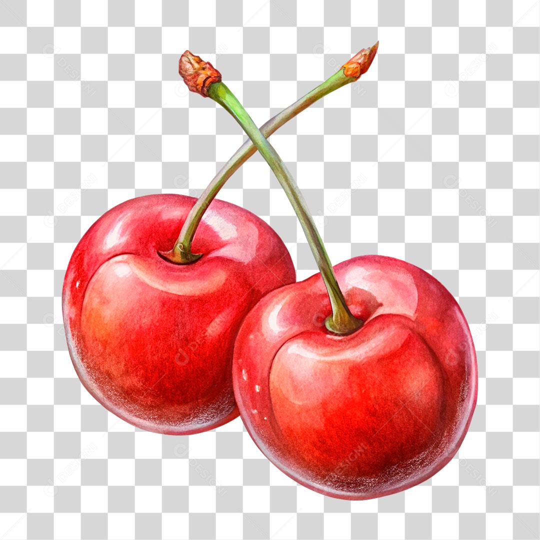 Cherry Transparent PNG
