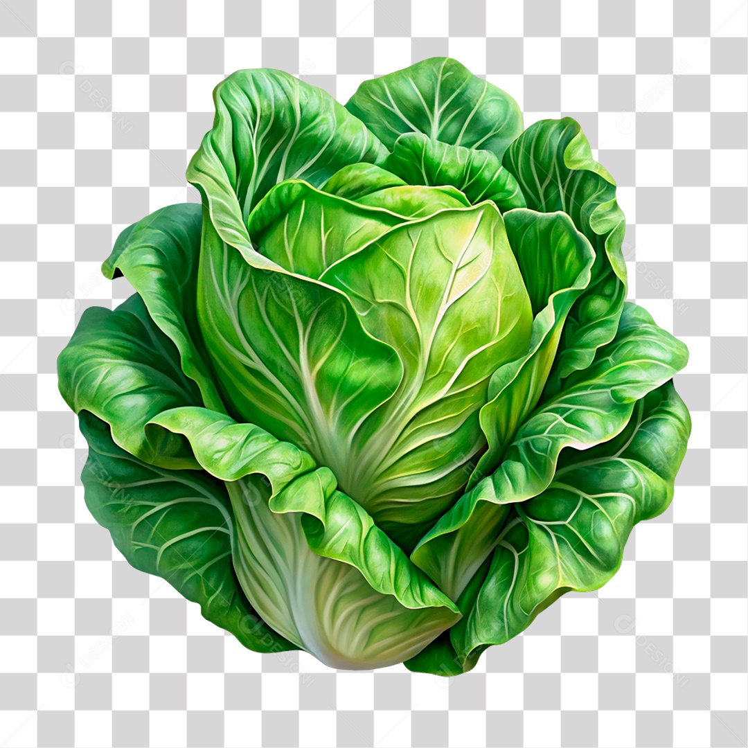 Alface PNG Transparente