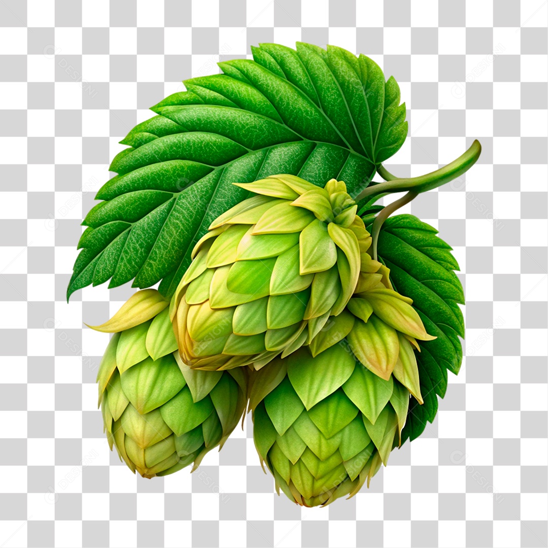 Lúpulo PNG Transparente