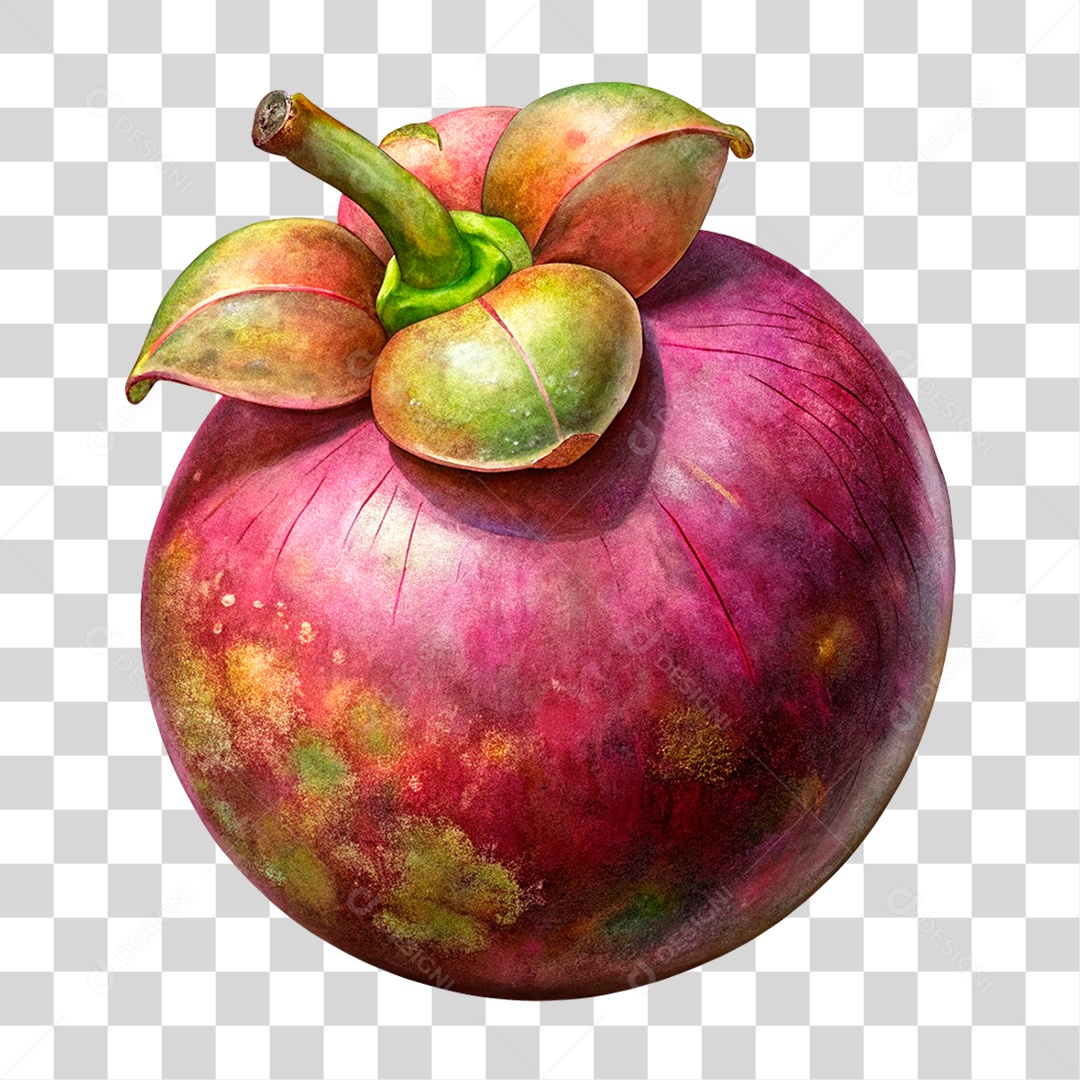 Mangustão Roxo PNG Transparente