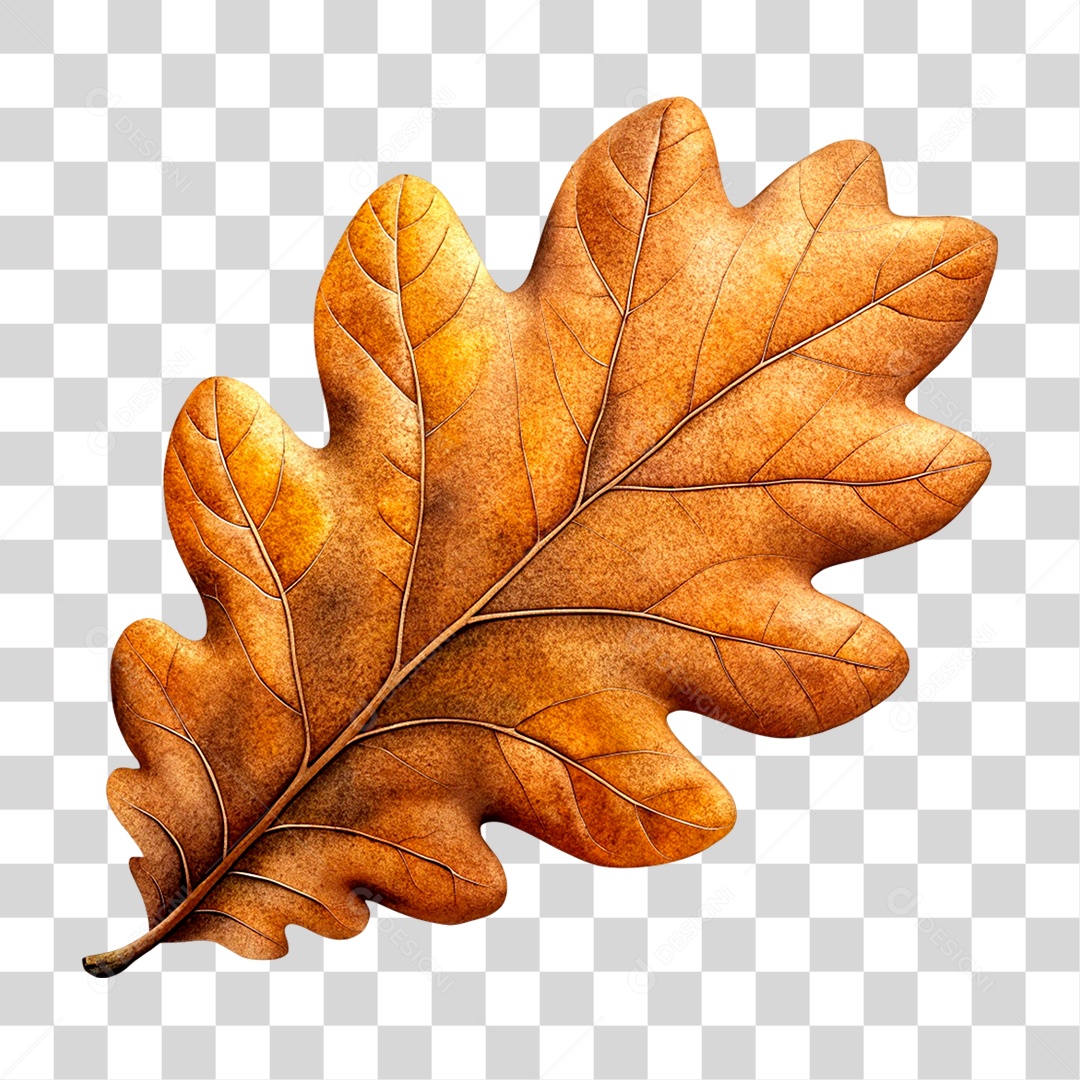 Folha PNG transparente