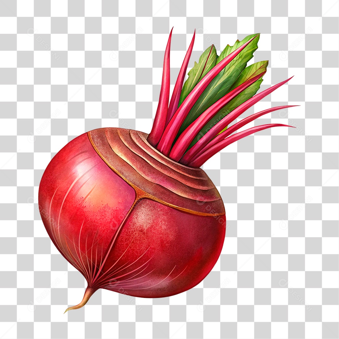Beterraba PNG Transparente