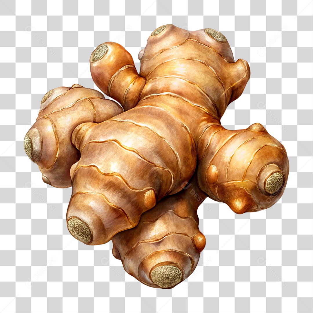 Gengibre PNG Transparente