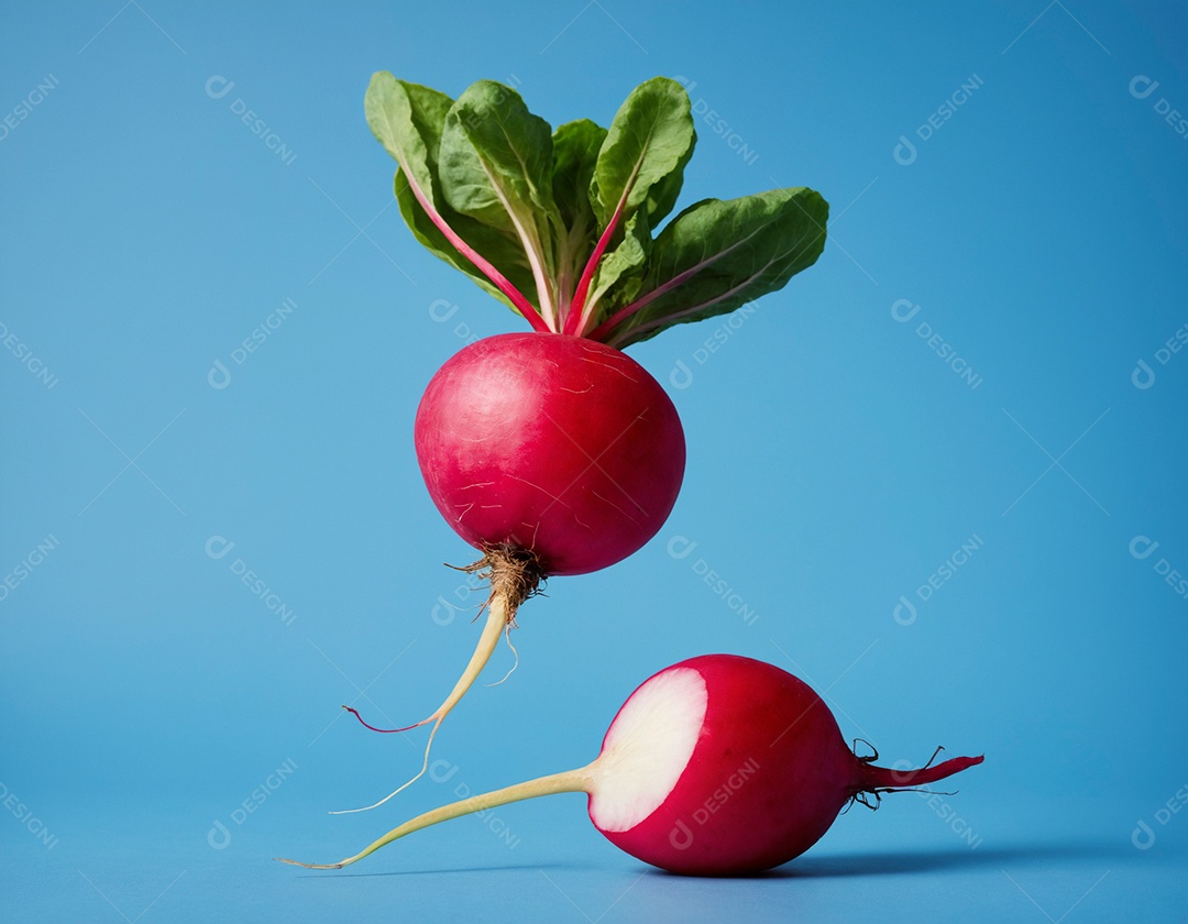Lindo rabanete com folhas verde sobre fundo azul isolado