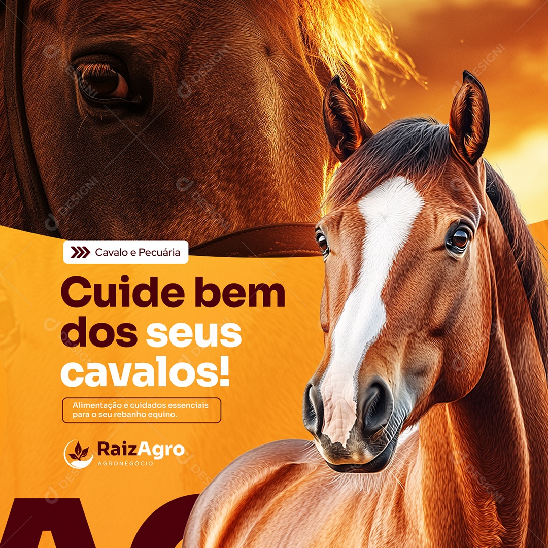 Agro Cuide Bem dos Seus Cavalos Social Media PSD Editável