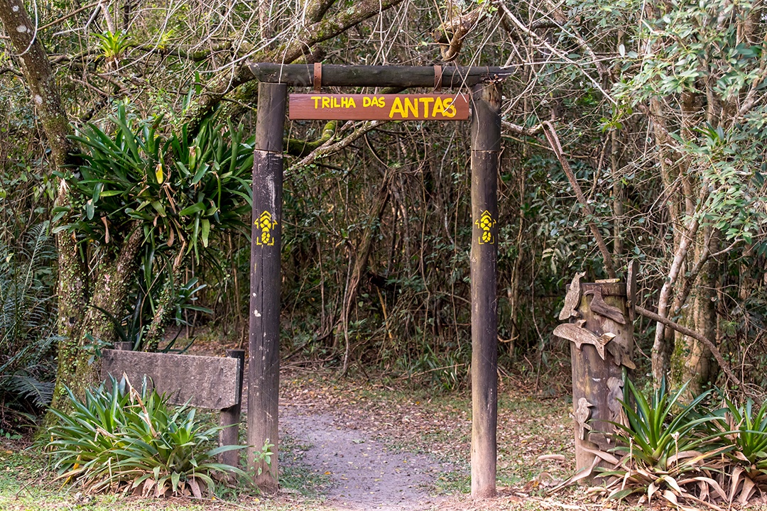 Trilha da anta no parque estadual da serra do tabuleiro santa catarina