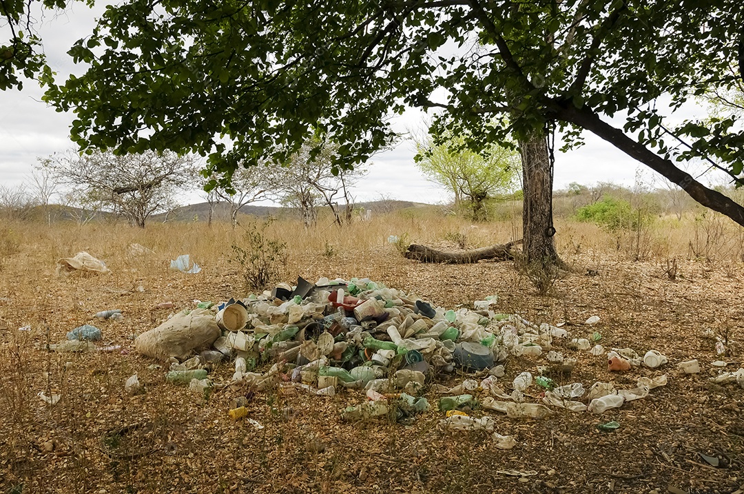 Resíduos plásticos sendo recolhidos sob uma árvore para reciclagem