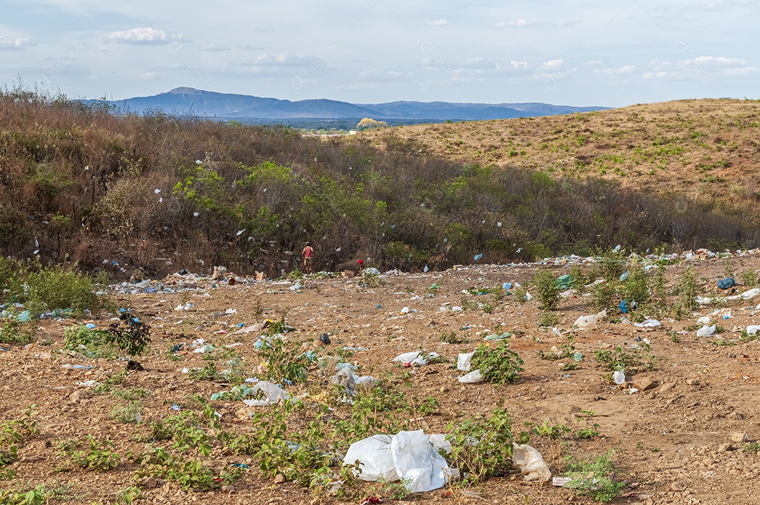 Lixo despejado na natureza no bioma Caatinga