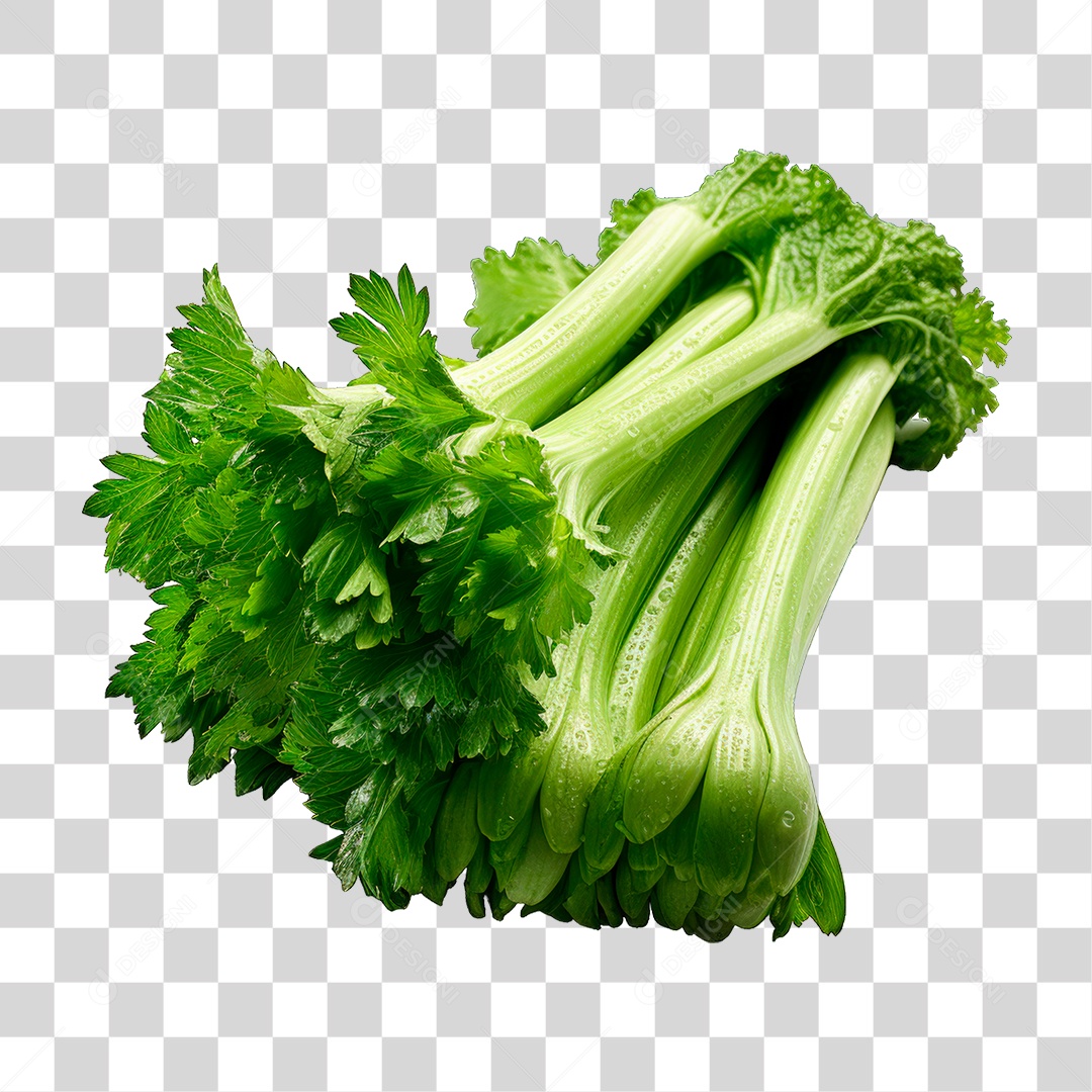 Aipo PNG Transparente