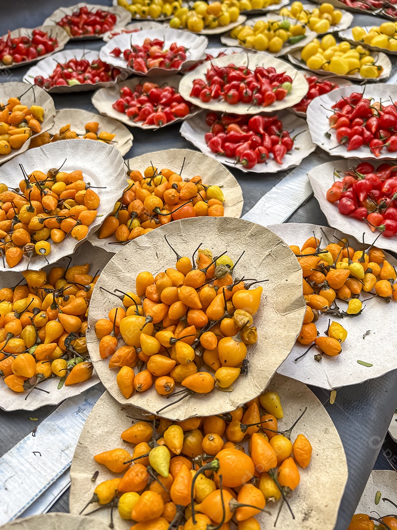 Pimentas de vários tipos e cores