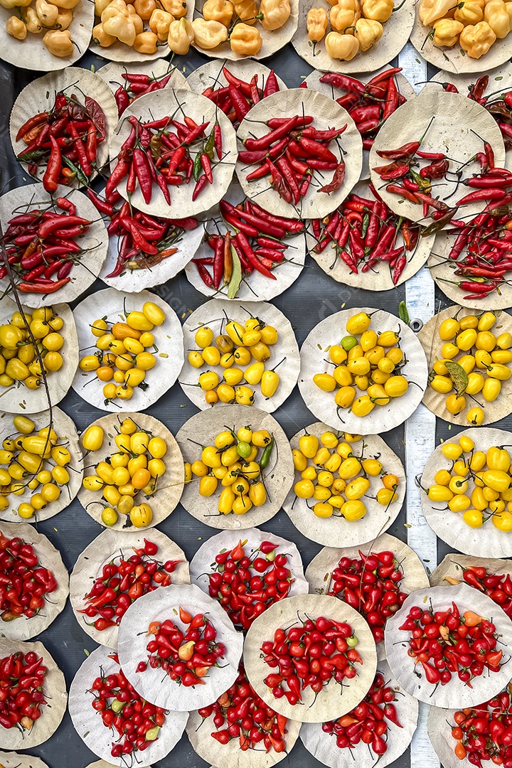 Pimentas de vários tipos e cores