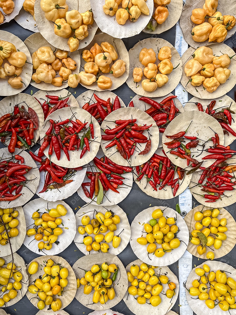 Pimentas de vários tipos e cores