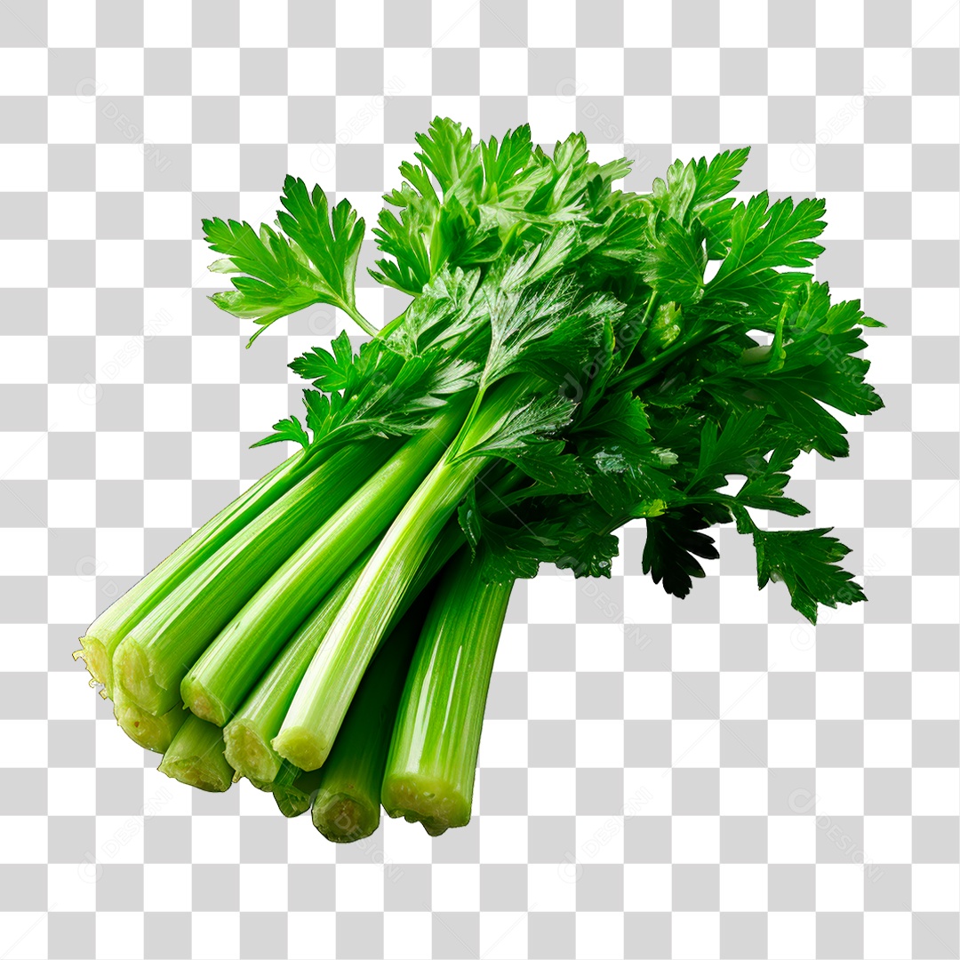 Salsão PNG Transparente